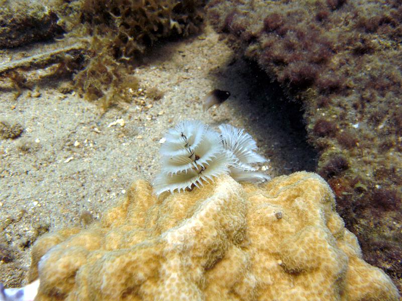 2011-09-13 23-59-59 Steven.JPG